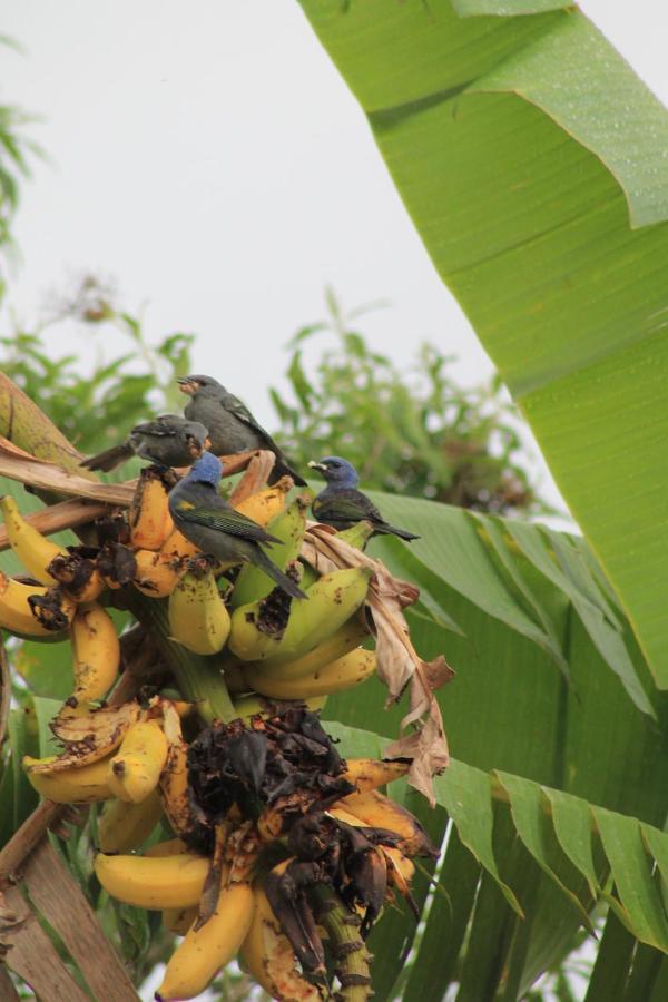 Chales Mirante Altos Ares Ilhabela Ngoại thất bức ảnh